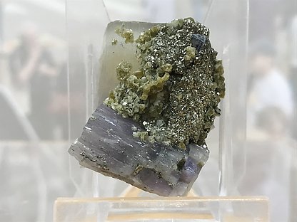 Fluorapatite with Siderite and Pyrite