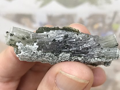 Fluorapatite with Muscovite and Calcite 