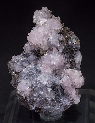 Creedite