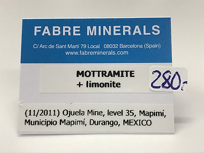 Mottramite with Wulfenite