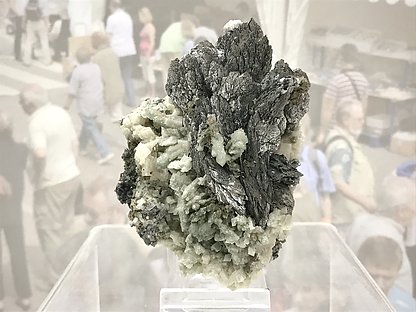 Löllingite with Calcite-Dolomite, Quartz and Magnetite