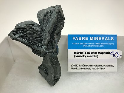 Hematite after Magnetite (variety martite)