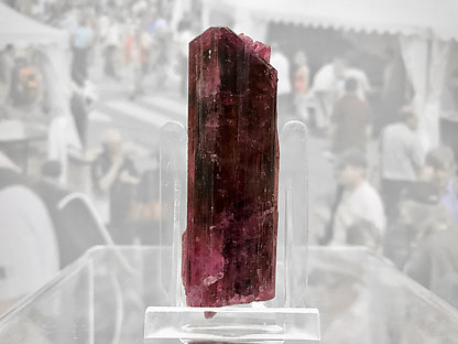 Elbaite (variety rubellite) with Feldspar