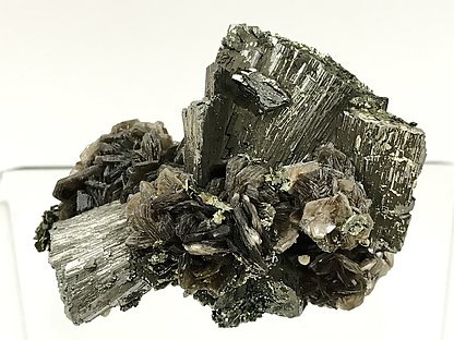 Arsenopyrite-Marcasite with Muscovite