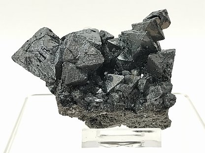 Magnetite (variety martite) on matrix. Front