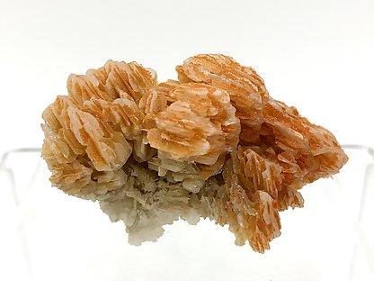 Mimetite (variety Chromium-rich) on Cerussite