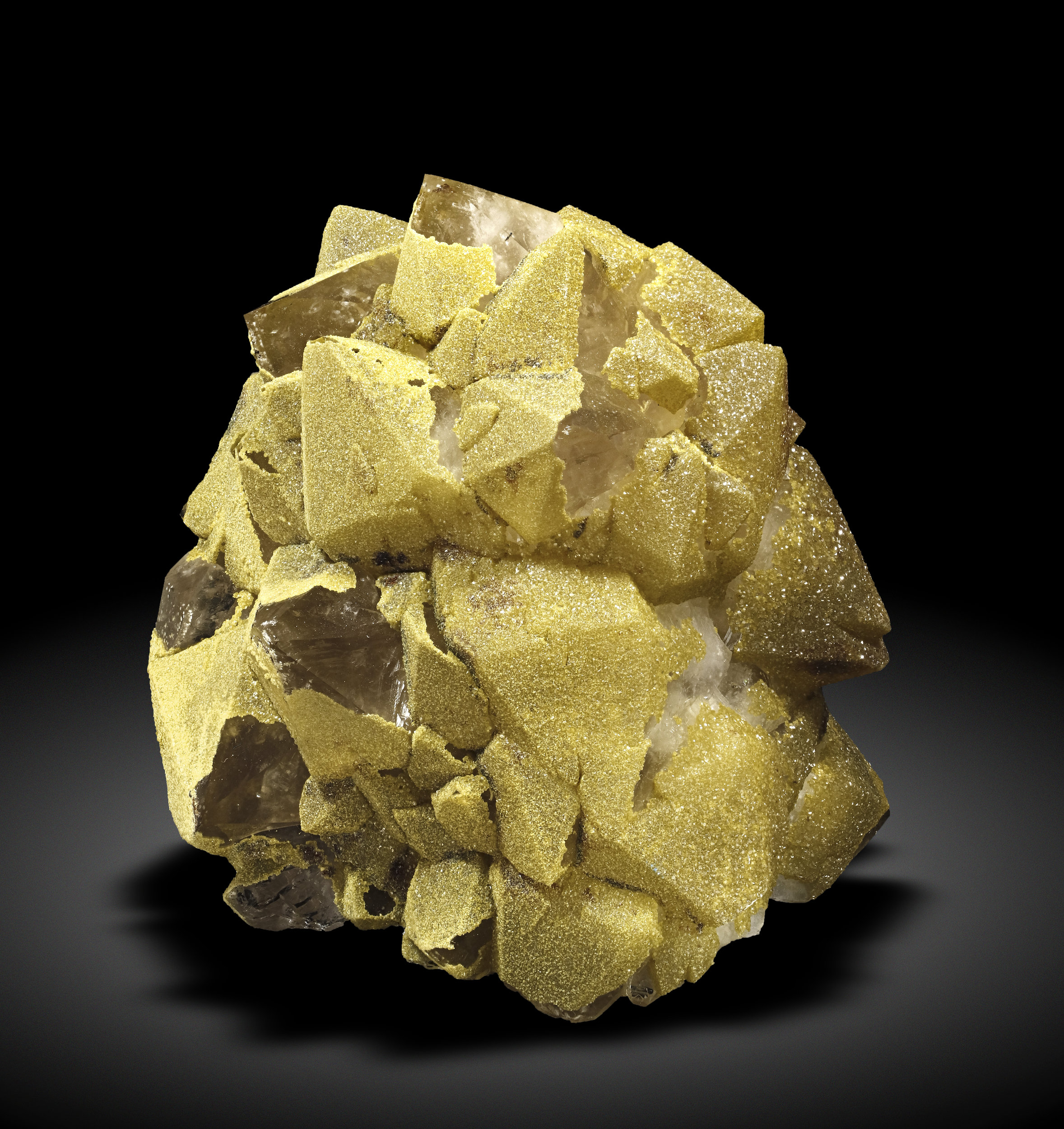specimens/s_fastAM1/HM560NX-front.jpg