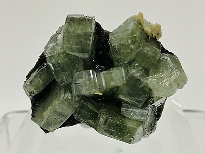 Fluorapatite with Dravite and Siderite