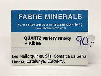 Quartz (variety smoky) with Albite