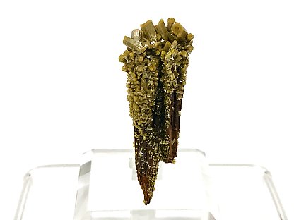 Pyromorphite