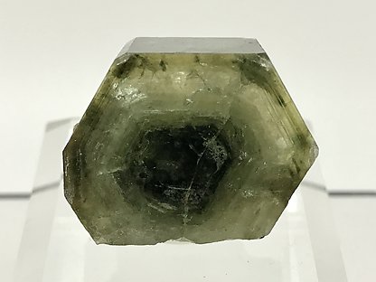 Fluorapatite with Muscovite