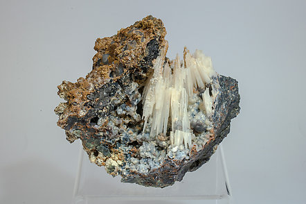 Quartz after Aragonite