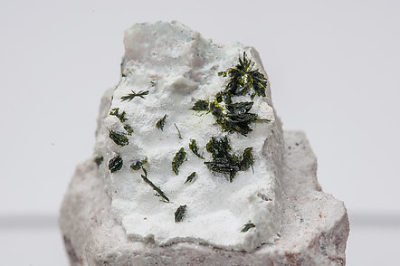 Volborthite on Dickite. 