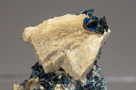 Whiteite-(CaMnMg) with Lazulite, Siderite and Quartz