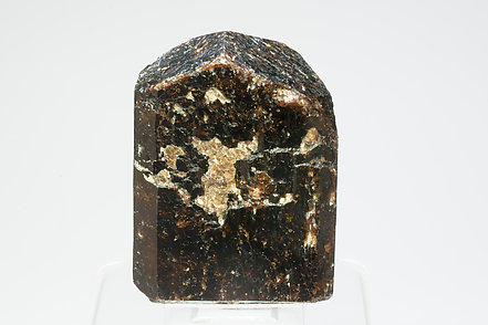 Dravite with Muscovite