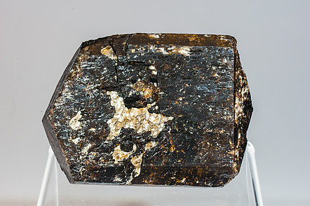 Dravite with Muscovite