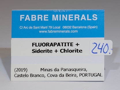 Fluorapatite with Siderite and Chlorite