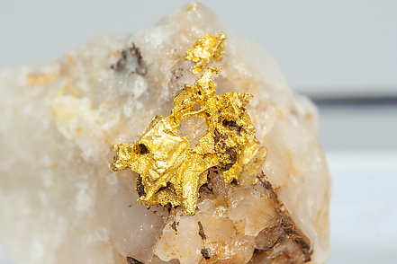 Gold on Quartz