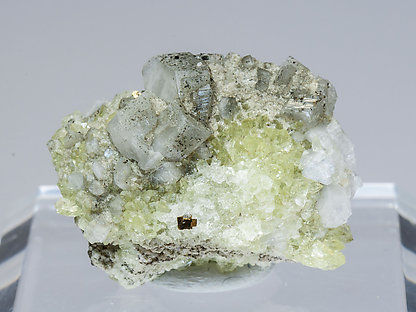 Harmotome with Pyrite and Fluorapophyllite-(K)