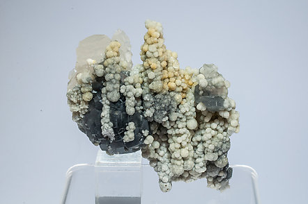 Calcite with inclusions of 'plumosite'