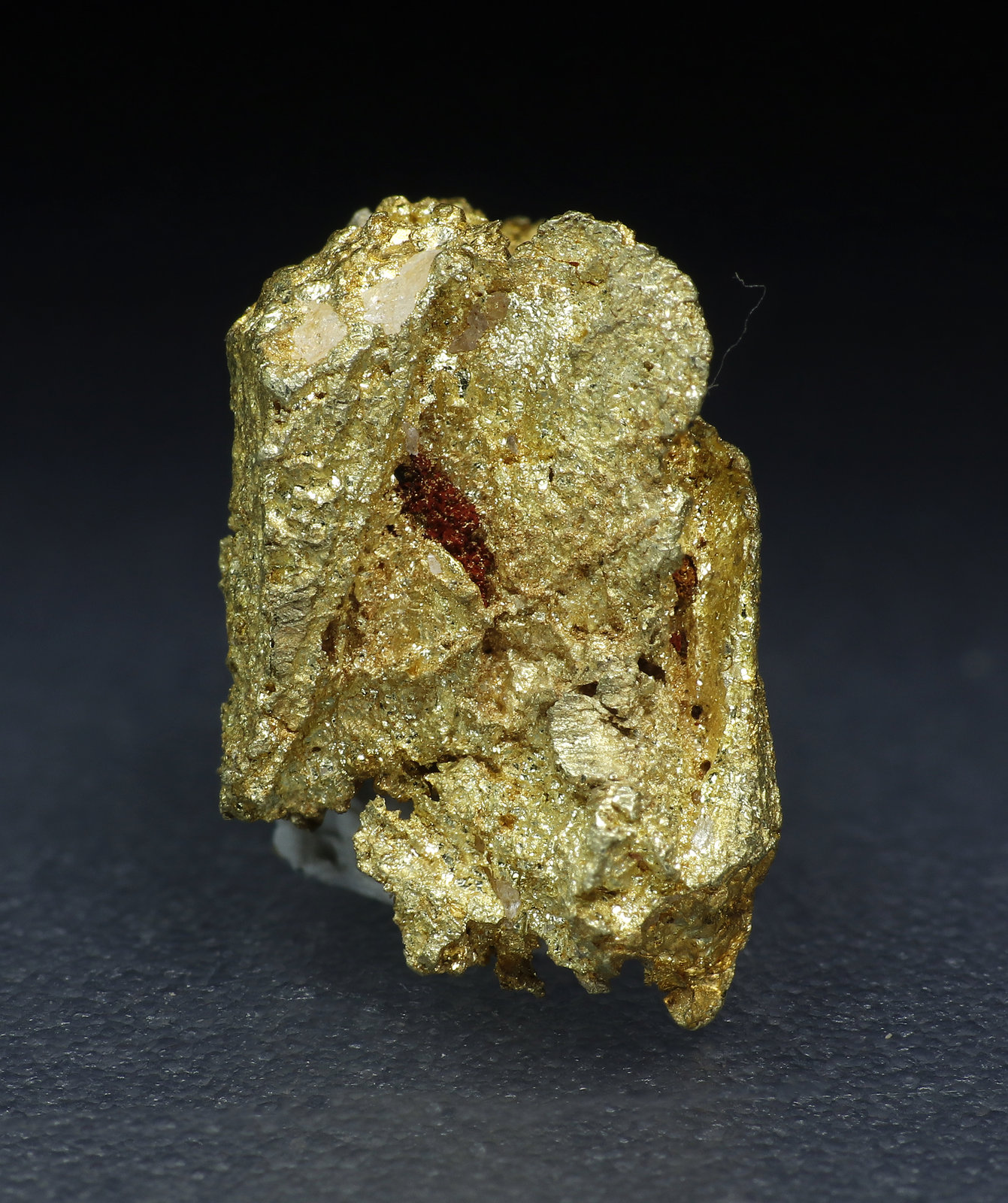 specimens/s_fastAM5/Oro-9MB96-1.jpg