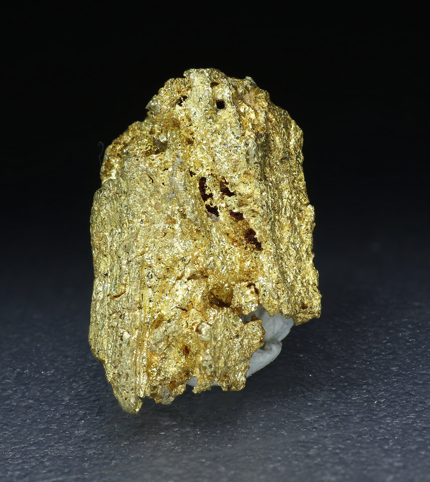 specimens/s_fastAM5/Oro-9MB96-2.jpg