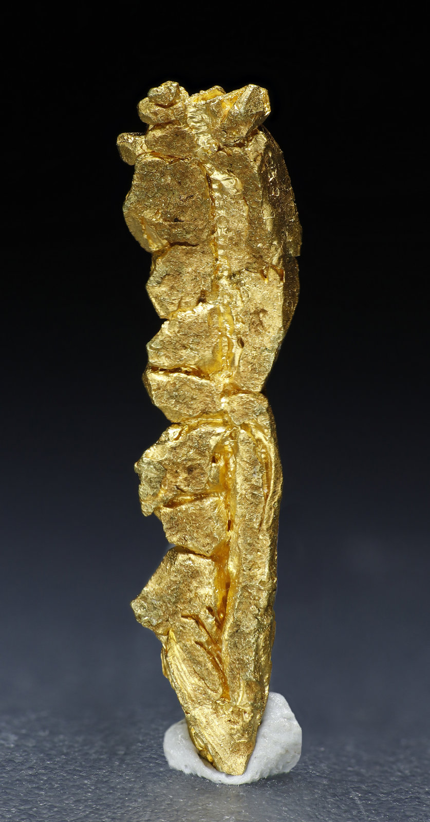 specimens/s_fastAM5/Oro-9MC96-1.jpg