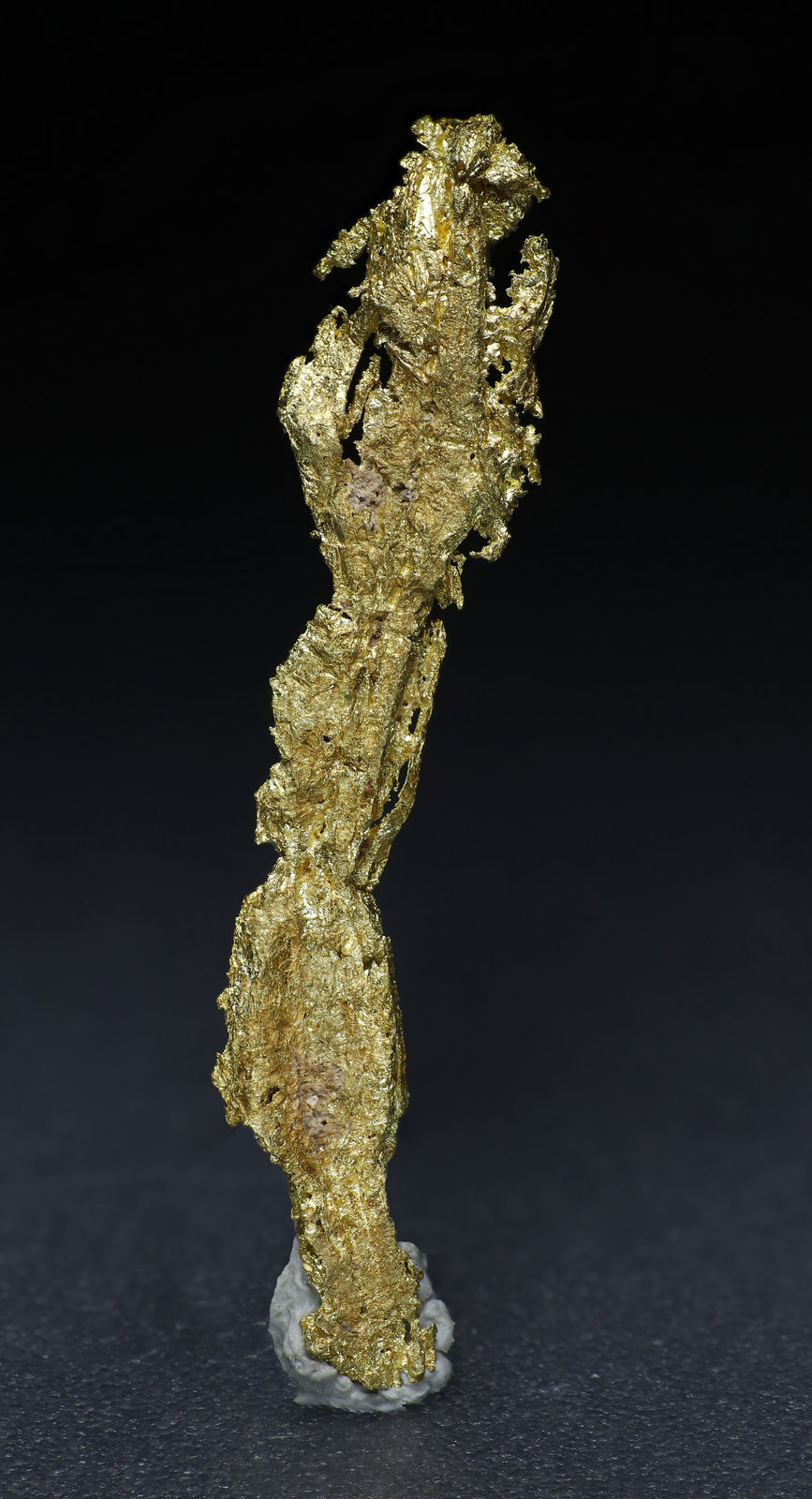 specimens/s_fastAM5/Oro-9ME96-1.jpg