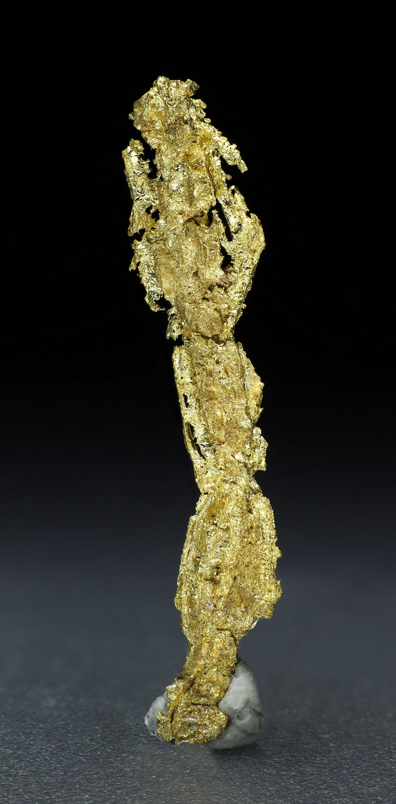 specimens/s_fastAM5/Oro-9ME96-2.jpg