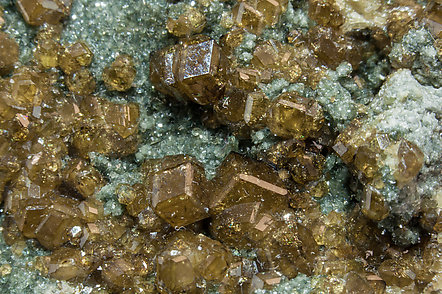 Andradite (variety topazolite) with Clinochlore