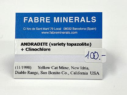 Andradite (variety topazolite) with Clinochlore