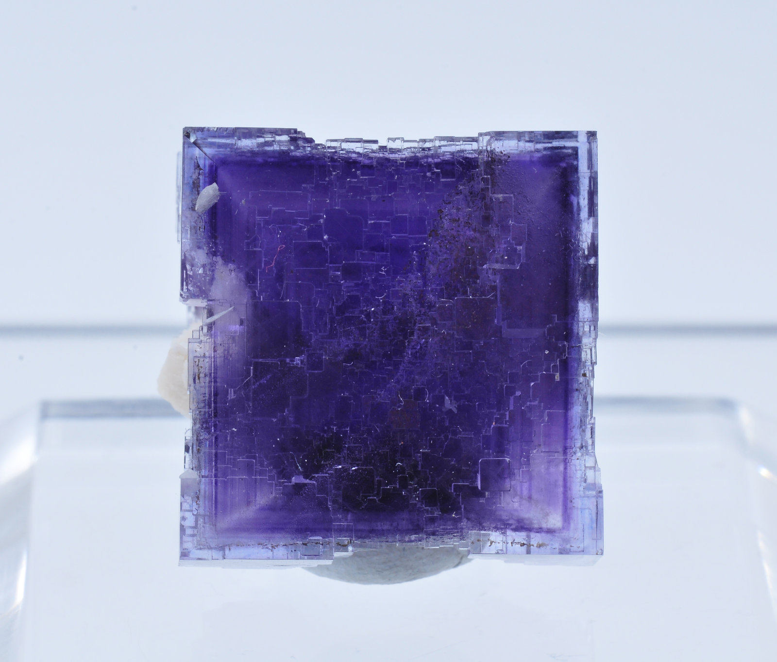 specimens/s_fastAM5/TC110NC.jpg