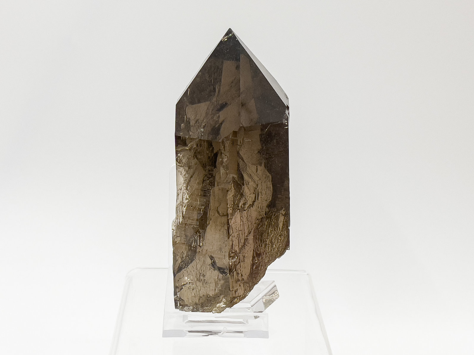 specimens/s_fastAM5/TC160RM.jpg