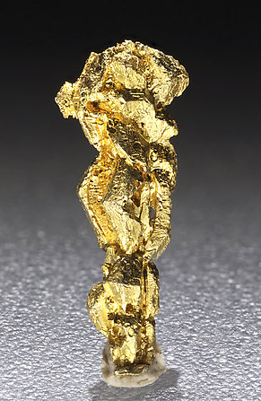 Oro