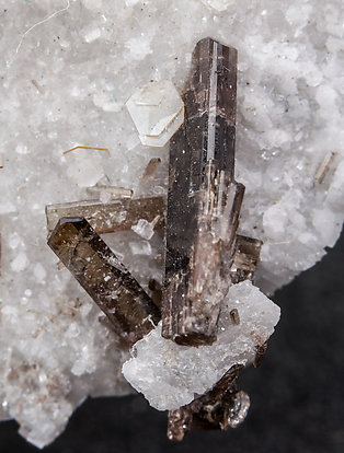 Dissakisite-(Ce)/Allanite-(Ce) with Hydroxylbastnsite-(Ce) and Dolomite