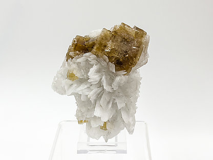 Fluorite with Celestine