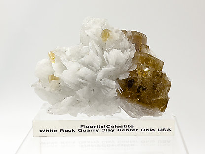 Fluorite with Celestine