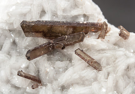 Dissakisite-(Ce)/Allanite-(Ce) with Dolomite