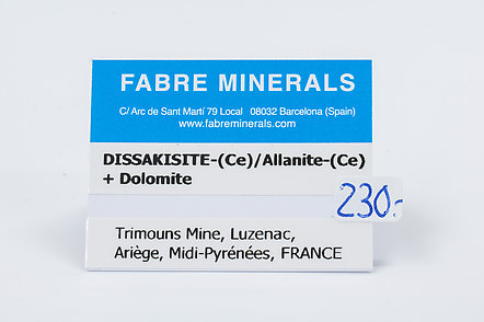 Dissakisite-(Ce)/Allanite-(Ce) with Dolomite
