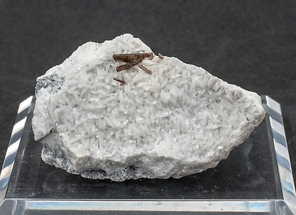 Dissakisite-(Ce)/Allanite-(Ce) with Dolomite