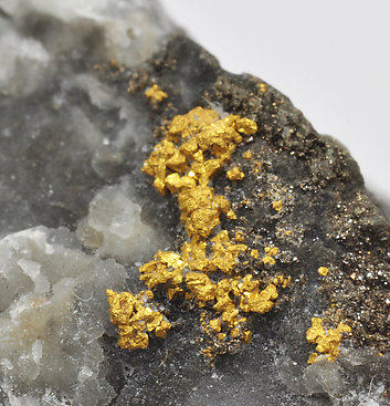 Gold with Pyrite and Quartz