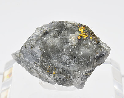 Gold with Pyrite and Quartz
