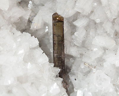 Dissakisite-(Ce)/Allanite-(Ce) with Dolomite