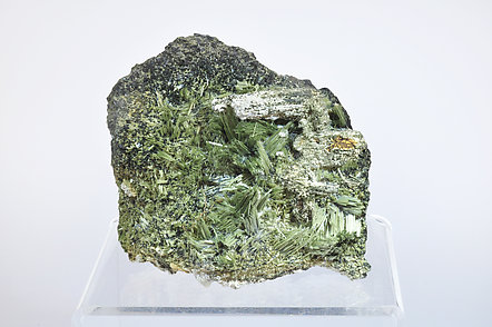 Actinolite With Ferro-actinolite and Prehnite