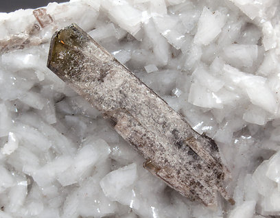 Dissakisite-(Ce)/Allanite-(Ce) with Dolomite