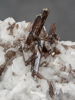 Dissakisite-(Ce)/Allanite-(Ce) with Dolomite