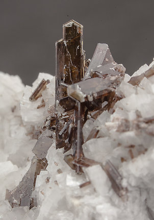 Dissakisite-(Ce)/Allanite-(Ce) with Dolomite