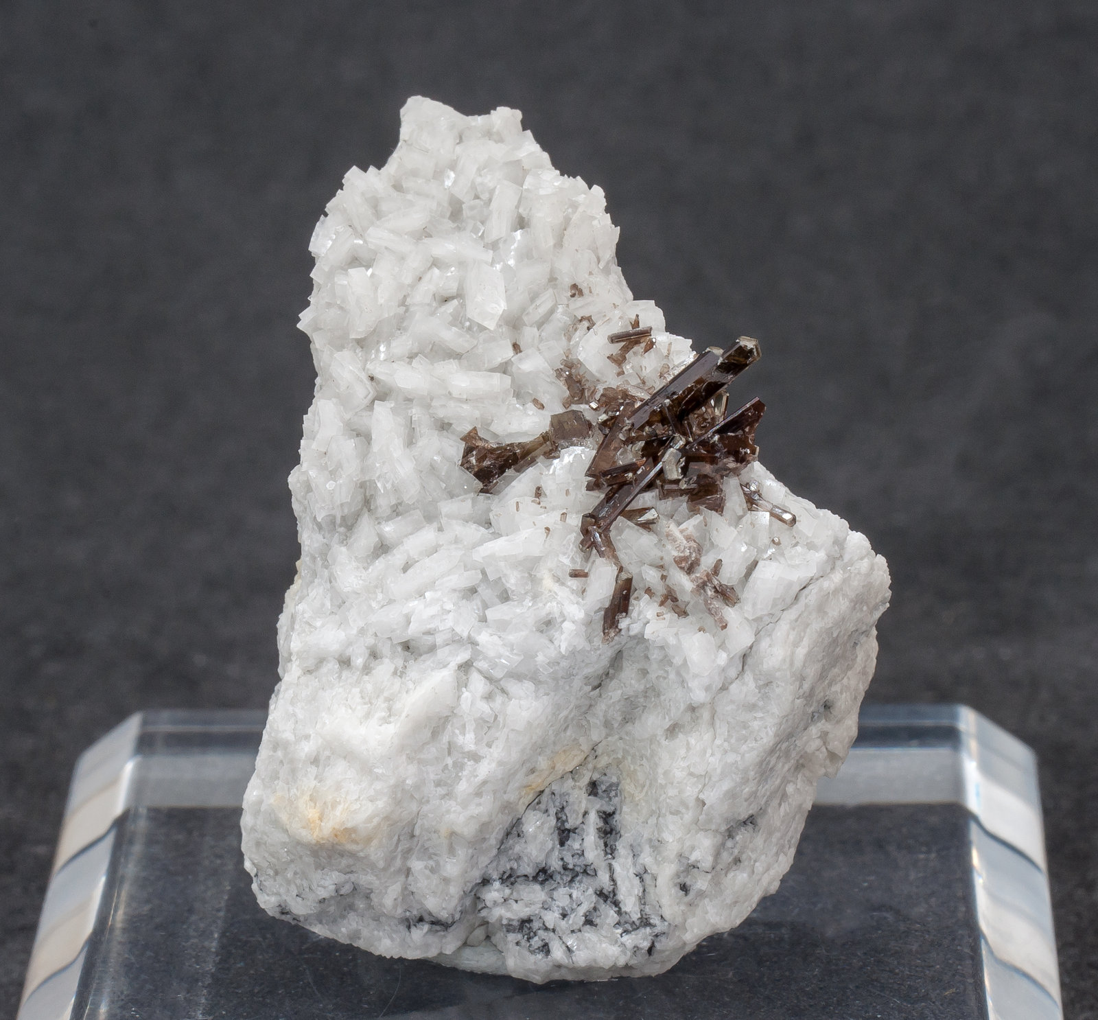 specimens/s_fastAM5/TC280AH.jpg