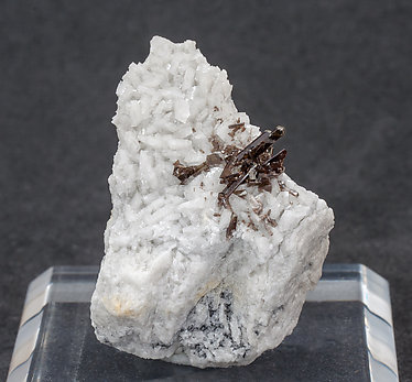 Dissakisite-(Ce)/Allanite-(Ce) with Dolomite