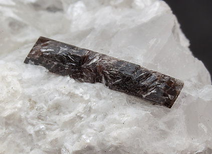 Dissakisite-(Ce)/Allanite-(Ce) with Dolomite and Talc